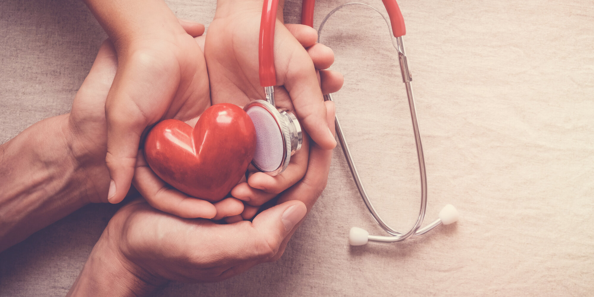 Mehrere Hände halten zusammen ein rotes Stein-Herz und ein Stethoskop.